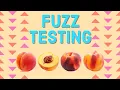 Finding Bugs with Coverage Guided Fuzz Testing DevSecOps