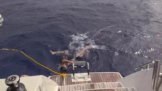 60 – Sailing S/V Julia: Part 3 – We Got Stuck in the Pacific Garbage Patch!