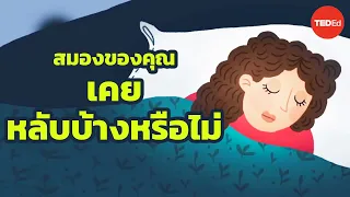 การนอนหลับแบบครึ่งสมองมีผลต่อการดำรงชีวิตของโลมาอย่างไร