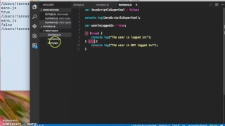 JavaScript Data Types Booleans