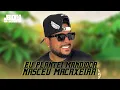 Download Lagu EU PLANTEI MANDIOCA NASCEU MACAXEIRA - O BOY DA SERESTA ( FÁTIMA SANTOS )