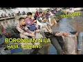 Download Lagu BORONGAN NILA TIKET 4OOk,,,,HASIL IKAN NYA 1 KARUNG ‼️ MANCING BORONGAN NILA