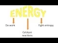 Campbell s Biology Chapter 8 An Introduction to Metabolism