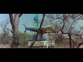 The Gods Must Be Crazy 1984 Movie funny Lion scene