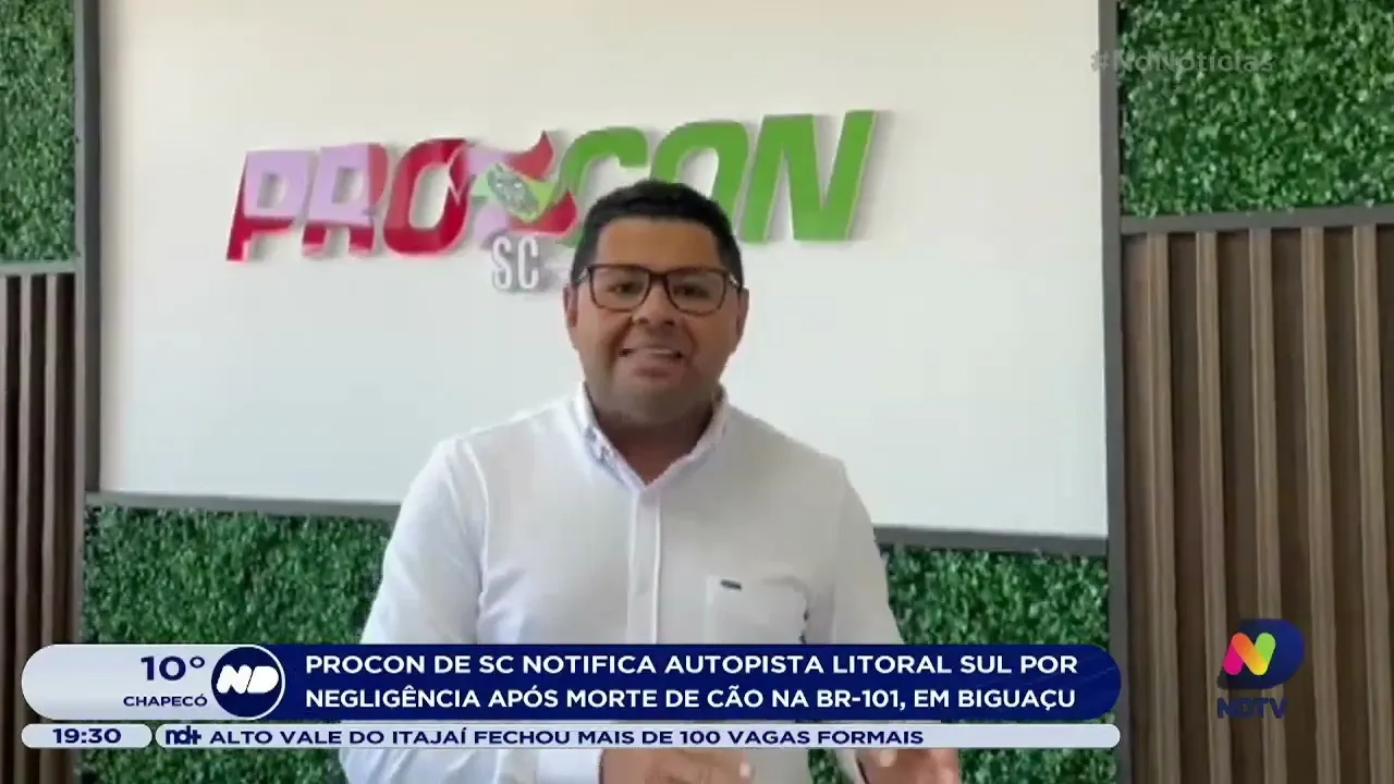 Procon-SC notifica Autopista Litoral Sul após morte de cão na BR-101