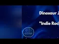 DINOSAUR JR. - Several Got Away