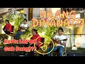 Download Lagu Ada yang Hilang - Neo Concerto Akustik (Cover) by Ipang