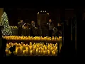 Vitamin String Quartet - Dancing on my own (Candle Light Concert)