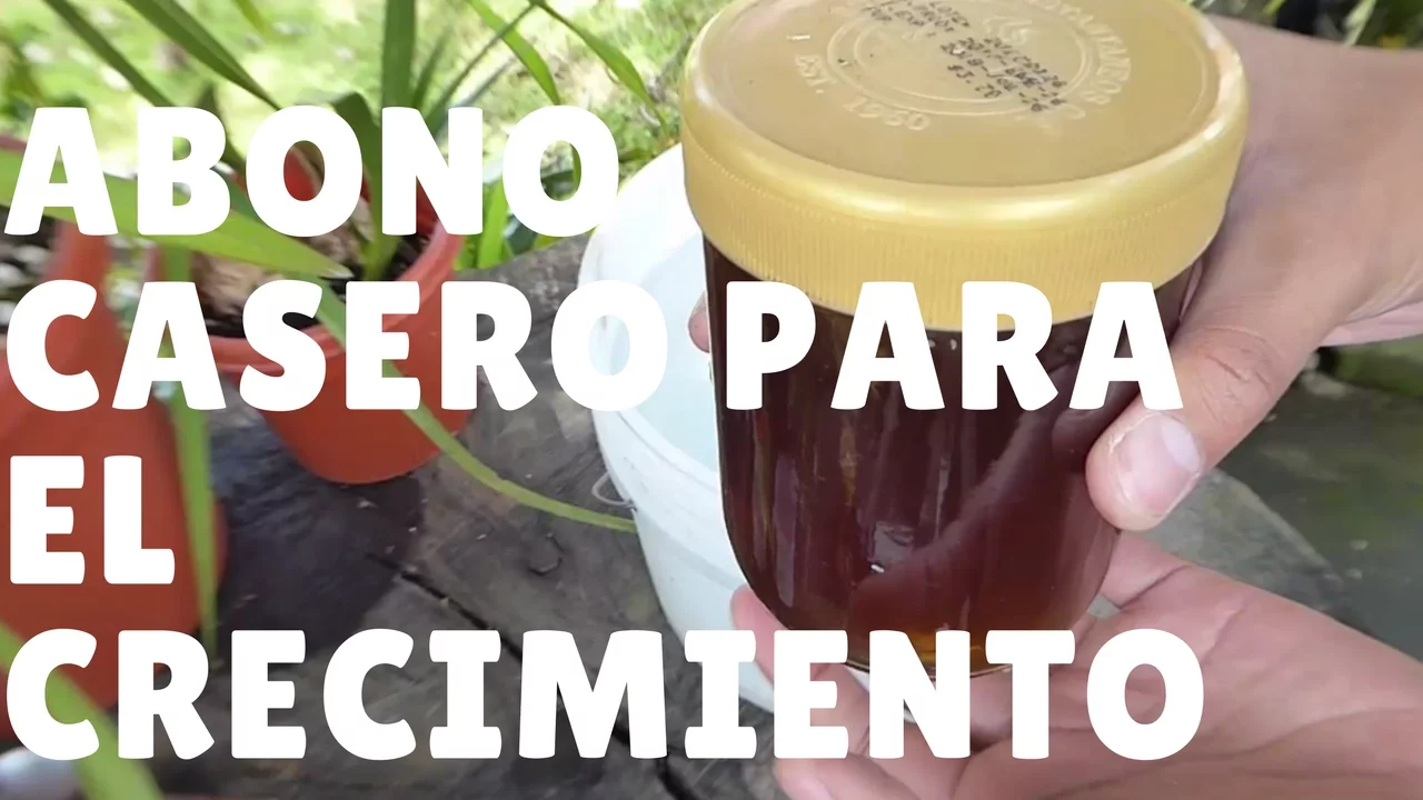 ABONO CASERO PARA EL CRECIMIENTO Y DESARROLLO DE LAS ORQUÍDEAS ORQUIPLANET