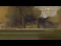 خطوه ||عبدالعزيز الويس