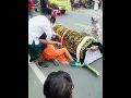 Download Lagu Jenazah bergoyang di dalam keranda