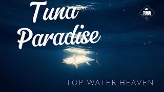 Tuna Paradise - Flying Fish Run, Topwater Heaven