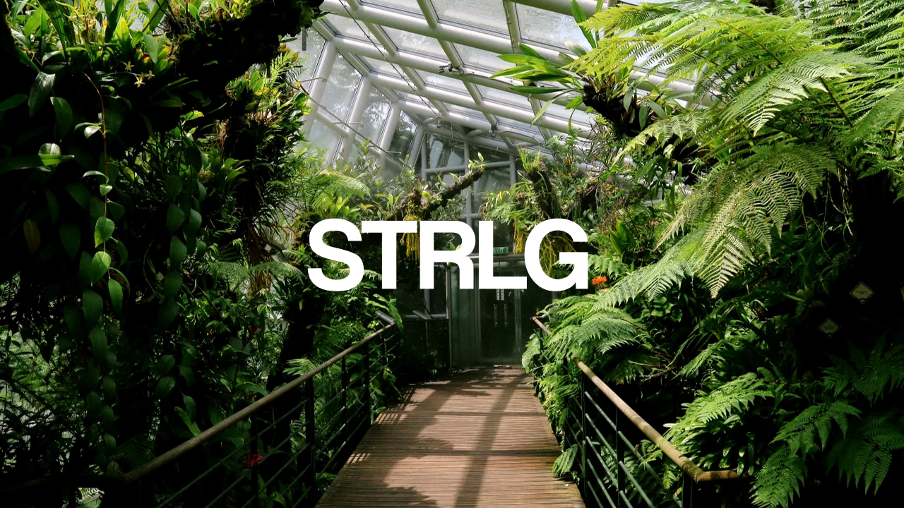 HOUNDED - Jungle Part 2