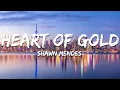 Shawn Mendes - Heart of Gold (Lyrics)