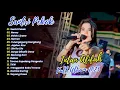 Download Lagu Santri Pekok - Intan Afiffah - viral TIK TOK MAHESA MUSIC DANGDUT KOPLO | FULL ALBUM 2023
