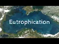 Eutrophication quick notes