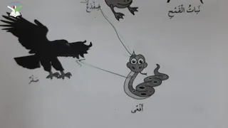 علوم حل التمارين صفحة ١٨ ١٩ ٢٠ ثاني 