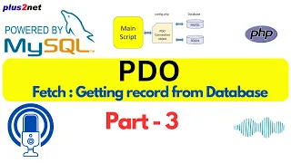 Fetching Data with PHP PDO Understanding fetch fetchAll and fetchColumn