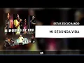 Mi Segunda Vida, Binomio De Oro De América - Audio