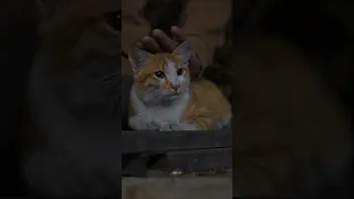 م لأ الس ماء الن ور ح ين ت أ ل قت Viral Foryou Fypシ اناشيد اسلامية اناشيد بلا موسيقى 