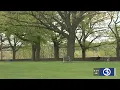 Pollen count climbing in Connecticut