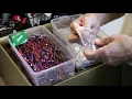 What s in the Installation Kit for a Direct Replacement NuTone Entry Door Station Speaker Cone