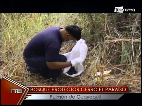 Bosque protector Cerro El Paraíso pulmón de Guayaquil
