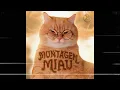 Montagem Miau - Ay mi gatito miau miau
