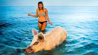 Bacon in the Bahamas (EP 22 – Monday Never Sailing)