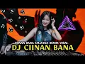 Download Lagu DJ CIINAN BANA REMIX FULL BASS VIRAL TIKTOK TERBARU 2024 | DJ NAN BANA FAUZANA