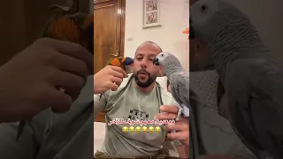 طوشة بين كركر وزعر الطيور  طوشة بين كركر وزعر الطيور