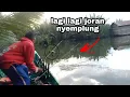 Download Lagu Joran nyemplung dan terbang ke air lagi #fishing