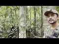 Examples of ecological relationships