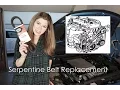 HOW TO REPLACE A SERPENTINE BELT