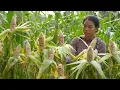 Download Lagu FULL VIDEO: Alone But Not Down: A Single Mother's Journey to Building a New Life