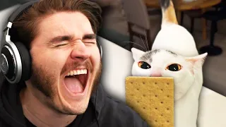 ranking your hilarious tiktoks