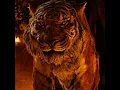 Download Lagu 💎 De dappere Mowgli versloeg de tijger. 💎 #film #kortfilm
