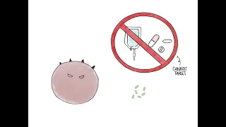 The Role of AFP in Liver Cancer