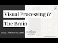 Visual Processing and the Brain Podcast