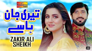 teri jaan hasay zakir ali sheikh official video shaheen studio