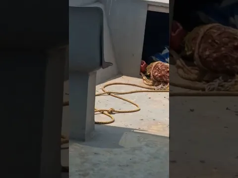 लास्ट तक जरूर देखना 😢