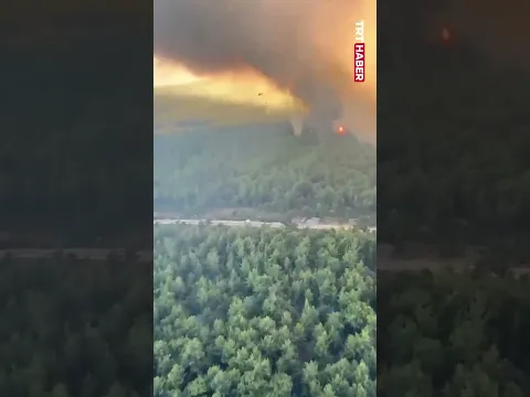Antalya'daki orman yangınına havadan ve karadan müdahale sürüyor