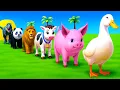 Long Slide Game With Cow Elephant Gorilla Hippopotamus Tiger - 3d Animal Game - Funny 3d Animals