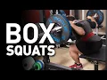 How To Box Squat Our Form vs Westside Barbell Programming