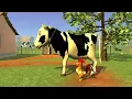 Bartolito - La Granja de Zenón 3