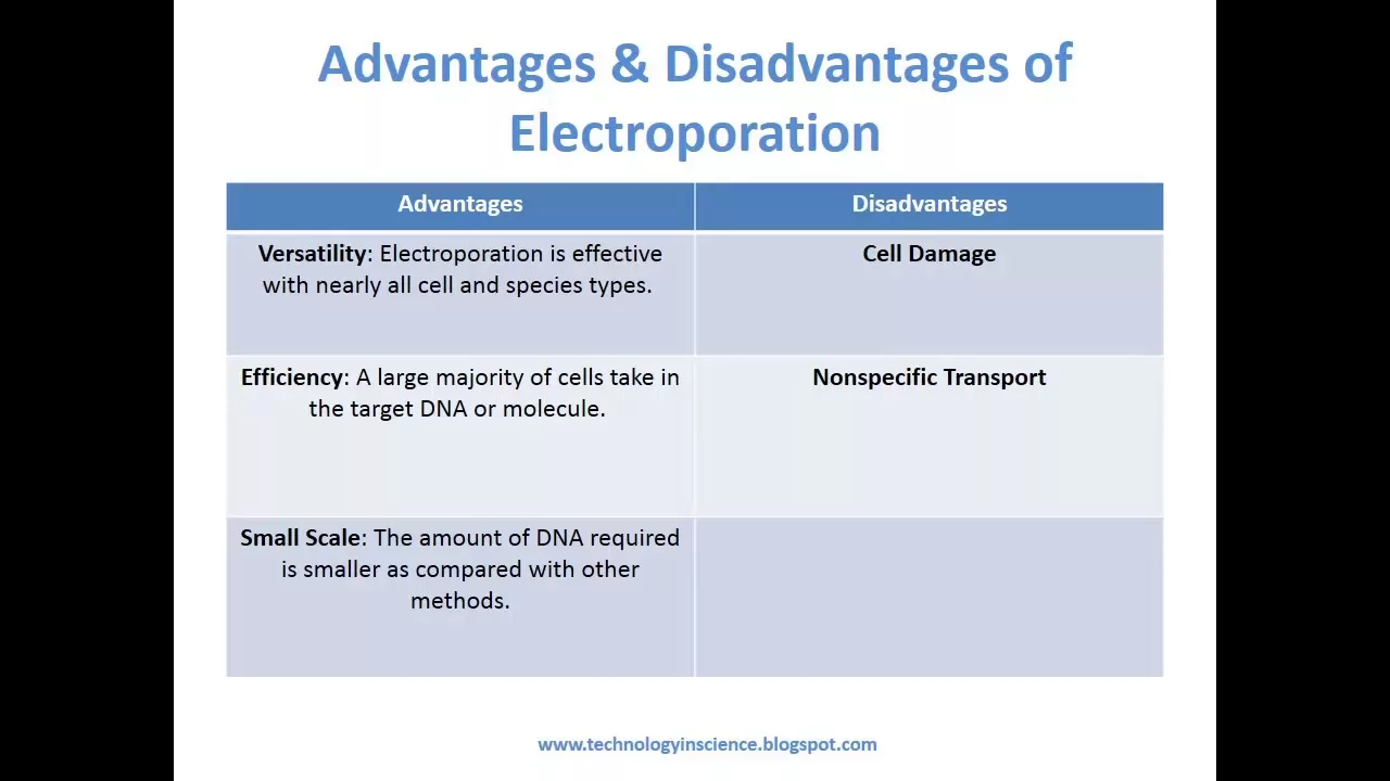 Mammalian Cell Transfection: Methods and Optimization | Biology