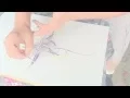 scroll freehand pinstriping