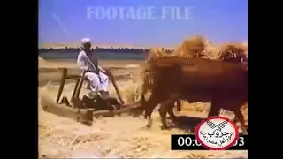 شايل هموم دنيتك ومين يشيل همك 