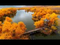 Download Lagu AUTUMN IN THE FEELINGS! Music for the deep soul! I cried when I heard this song! The autumn