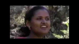 Tigist Mekonnen Nini Habesha ሀበሻ 